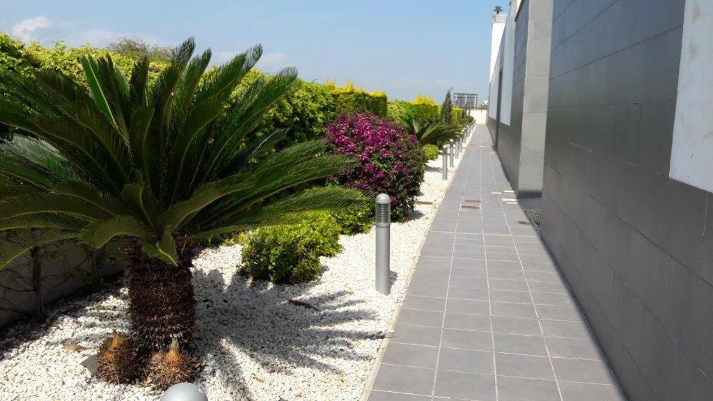 Oliva Nova - Golf&Beach Cabagua Bagian luar foto